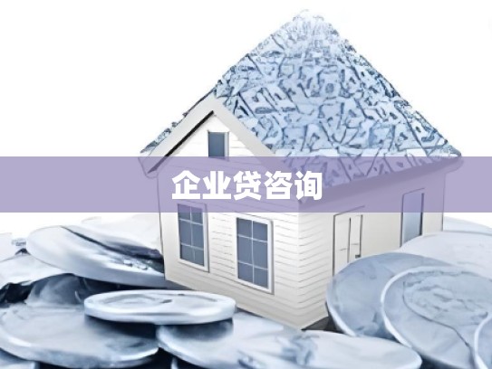 企业贷咨询