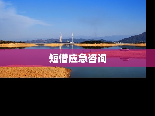 短借应急咨询