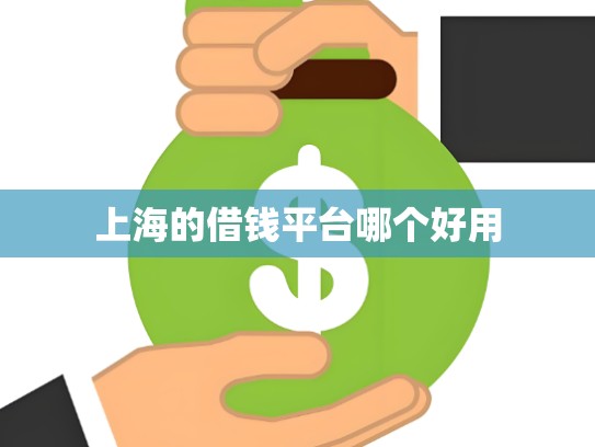 上海的借钱平台哪个好用