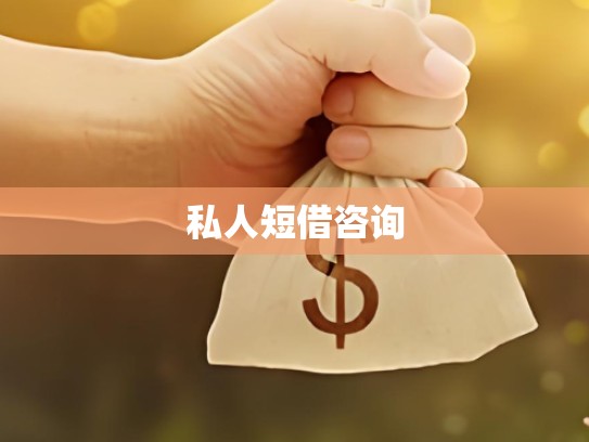 私人短借咨询