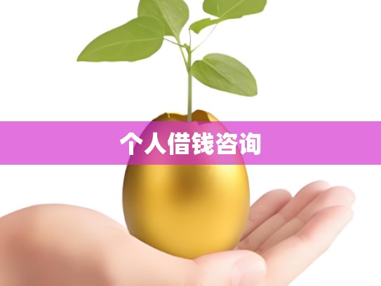 个人借钱咨询
