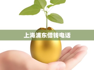 上海浦东借钱电话